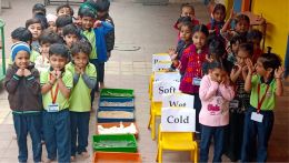 Learning Activity